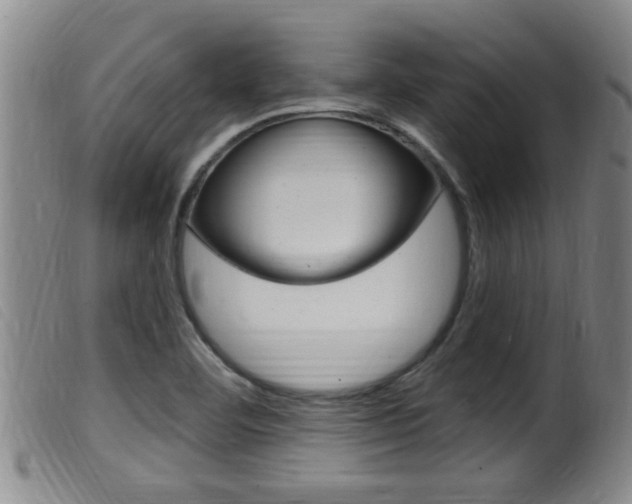 X0000099951460200805230950