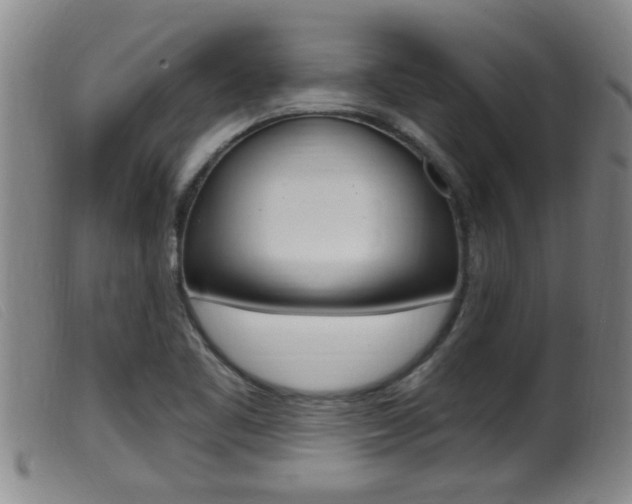 X0000099951461200805230950