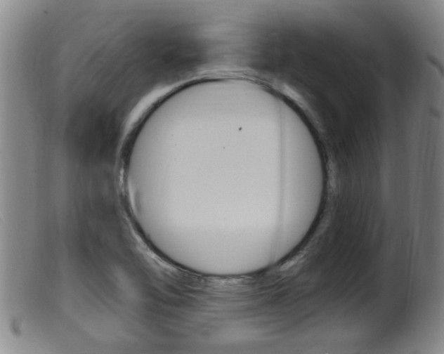 X0000099951462200805230950