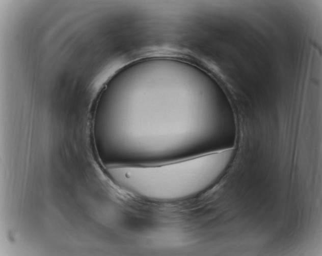 X0000099951463200805230950