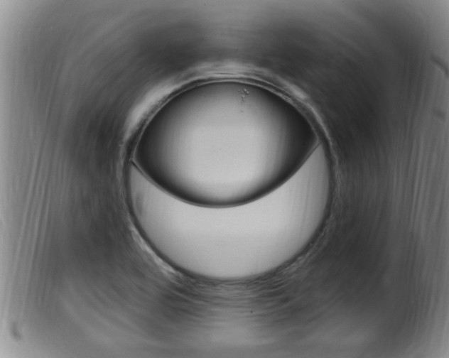 X0000099951464200805230950