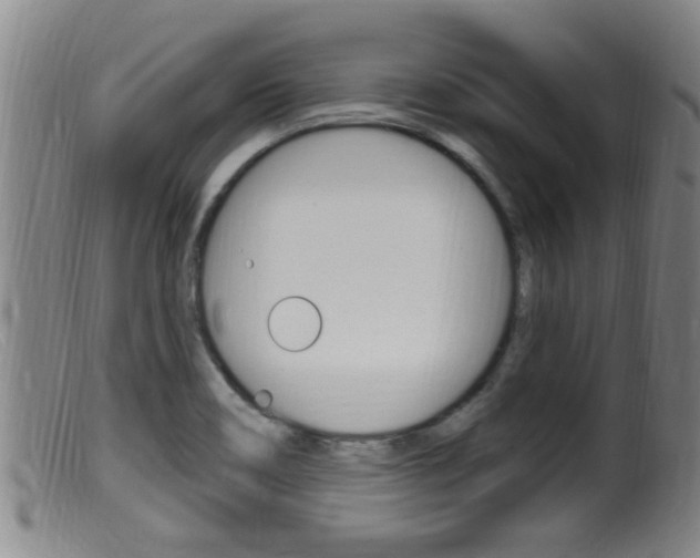 X0000099951466200805230950