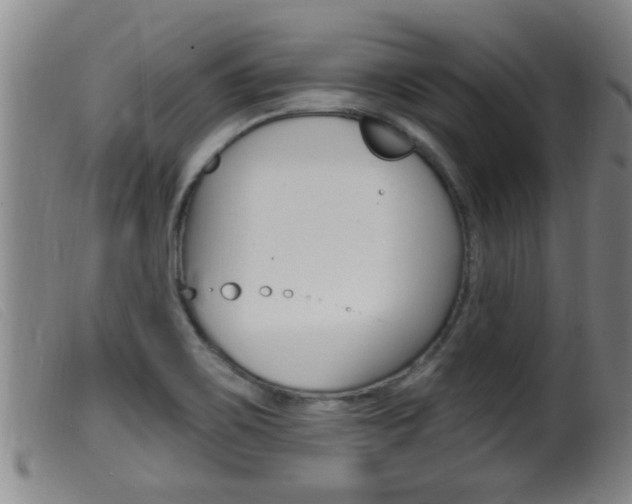 X0000099951467200805230950