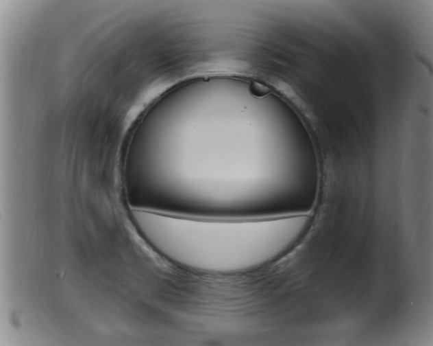 X0000099951469200805230950