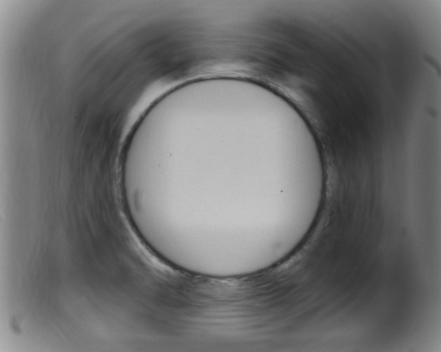 X0000099951470200805230950