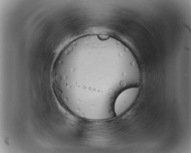 X0000099951471200805230949