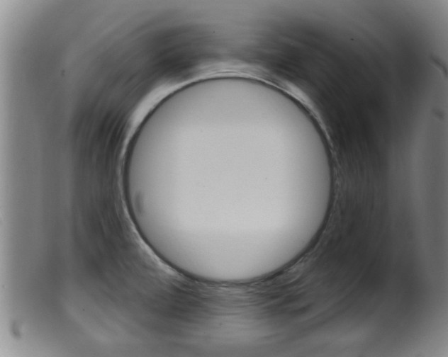 X0000099951472200805230949