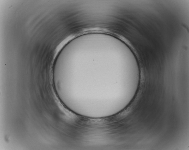 X0000099951474200805230949