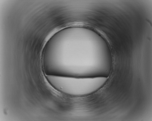 X0000099951475200805230949