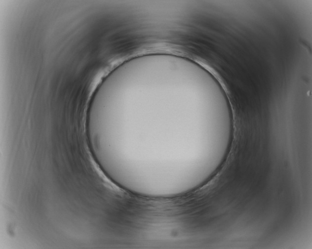 X0000099951477200805230949