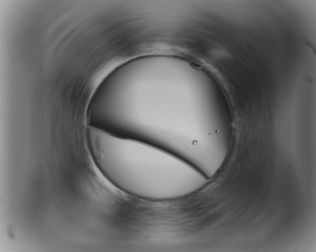 X0000099951479200805230949