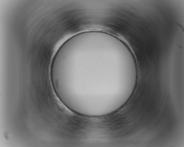 X0000099951480200805230949