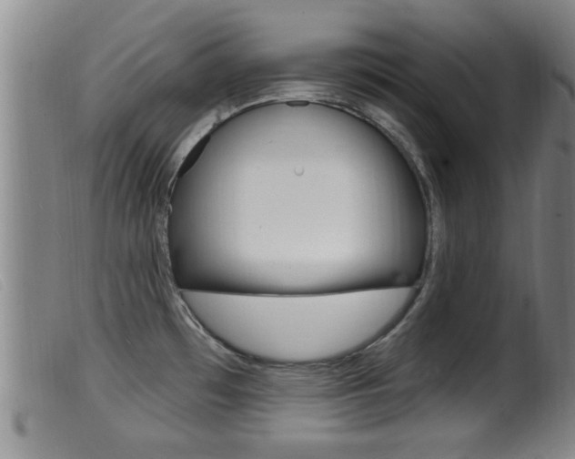X0000099951481200805230949