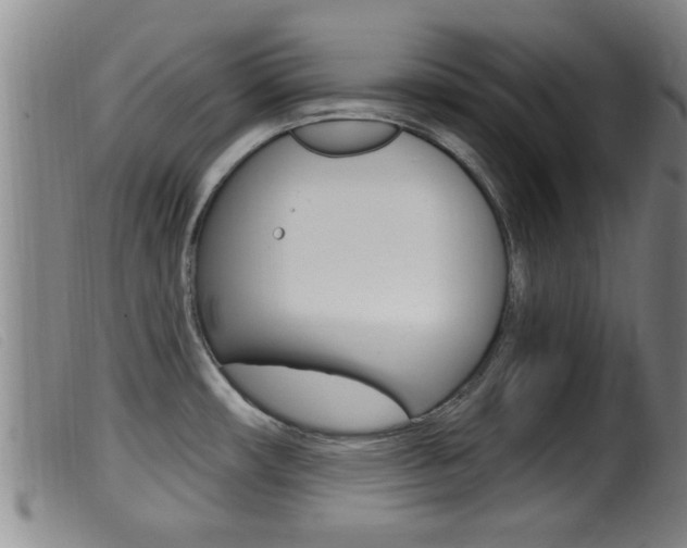 X0000099951482200805230949