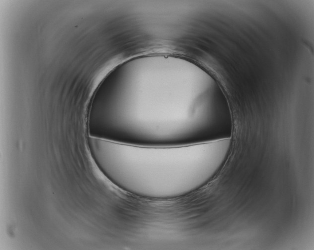X0000099951483200805230949