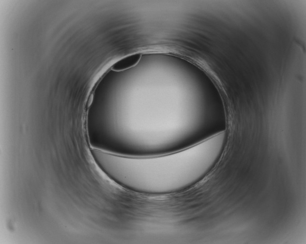 X0000099951484200805230949
