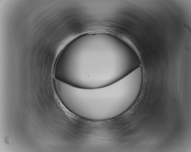 X0000099951485200805230949