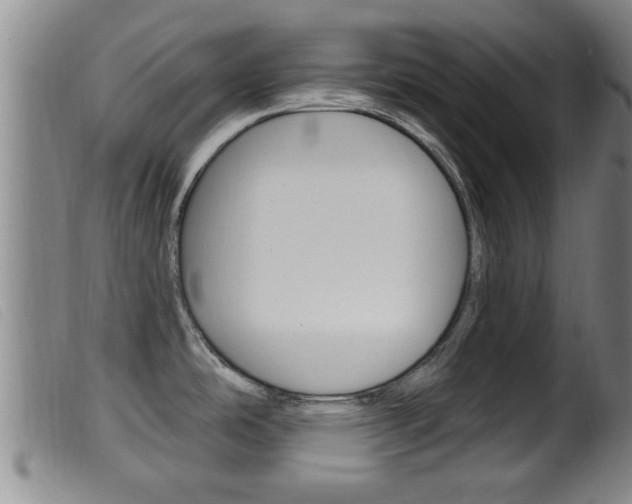 X0000099951486200805230949
