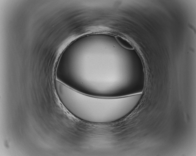 X0000099951488200805230949
