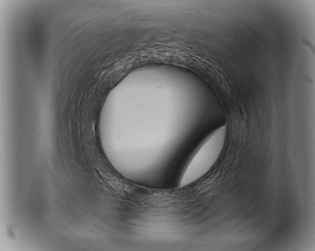 X0000099951489200805230948