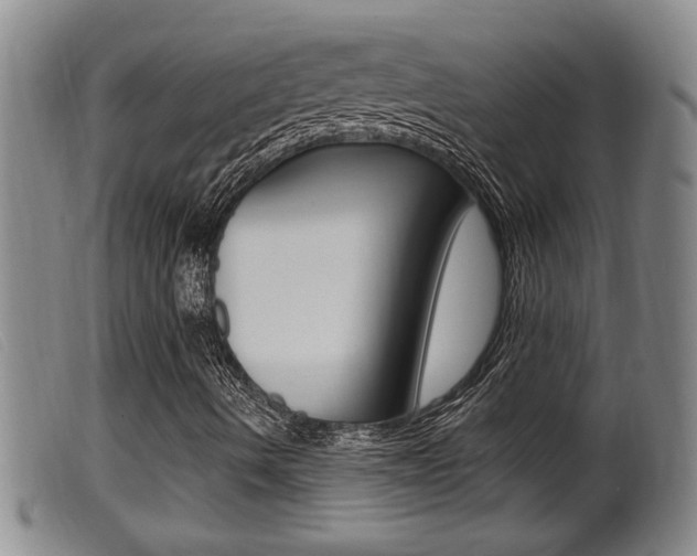 X0000099951490200805230948