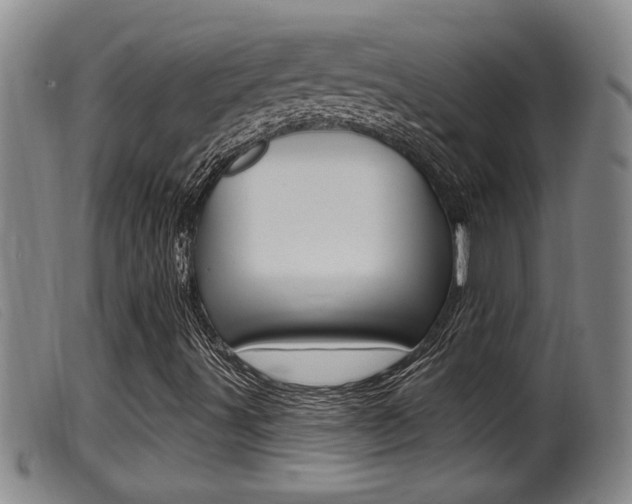 X0000099951491200805230948