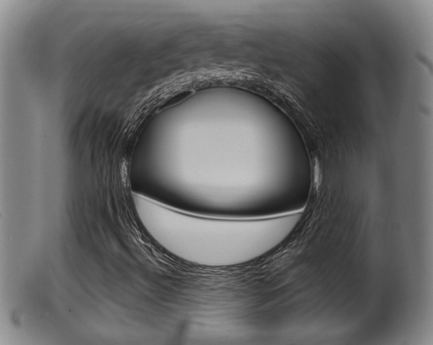 X0000099951492200805230948
