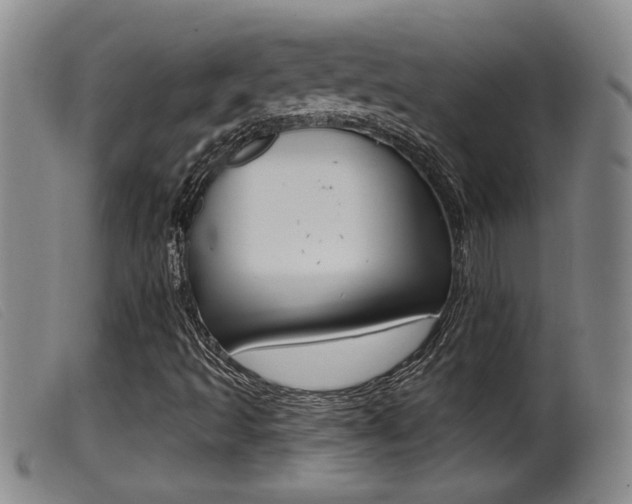 X0000099951493200805230948