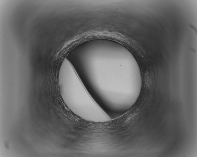 X0000099951494200805230948