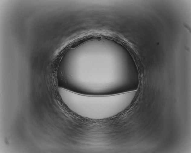X0000099951496200805230948