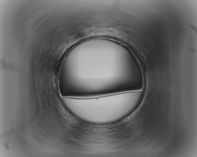 X0000099951497200805230949