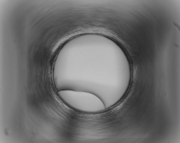 X0000099951498200805230949