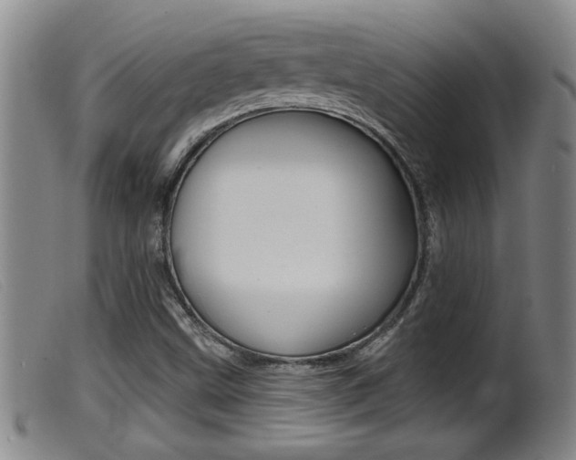 X0000099951499200805230949