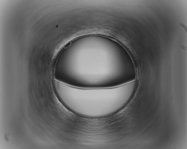X0000099951500200805230949