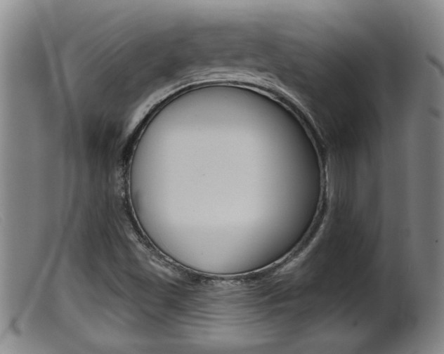X0000099951501200805230949