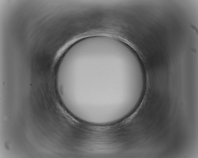 X0000099951502200805230949