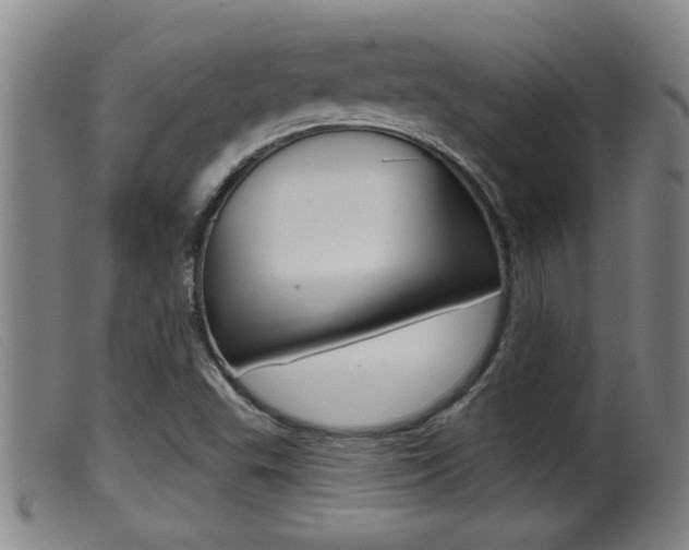 X0000099951503200805230949