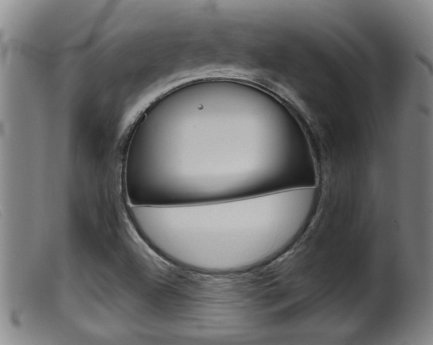 X0000099951504200805230949
