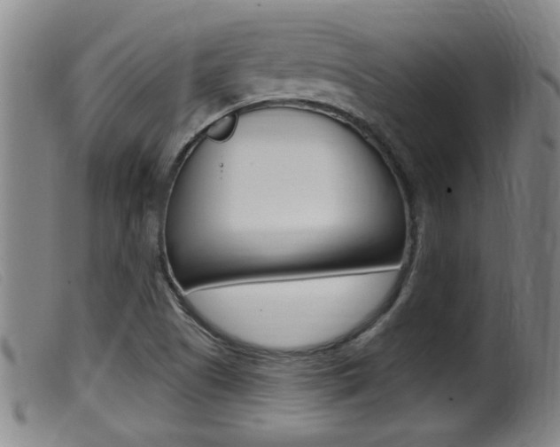 X0000099951505200805230949