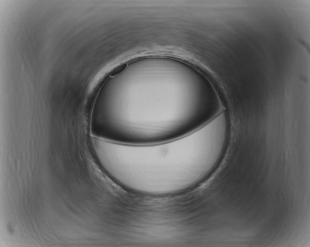 X0000099951506200805230949