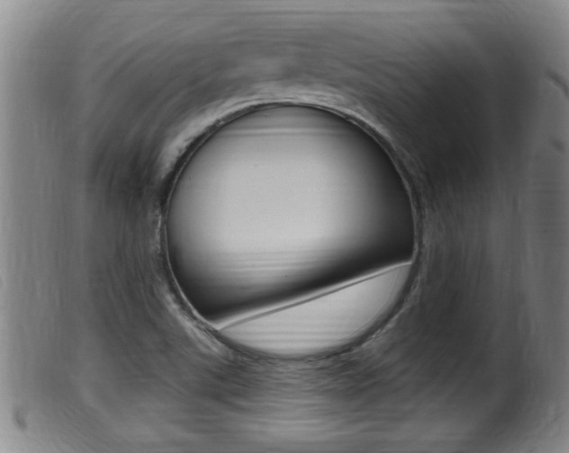 X0000099951507200805230949