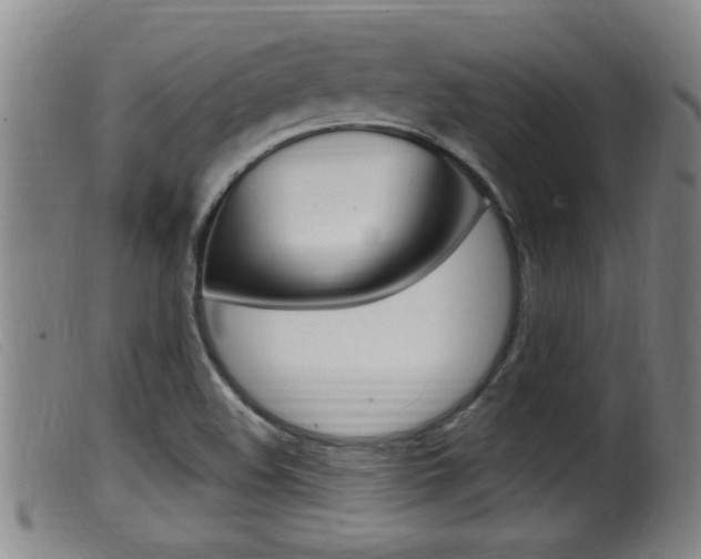 X0000099951508200805230949