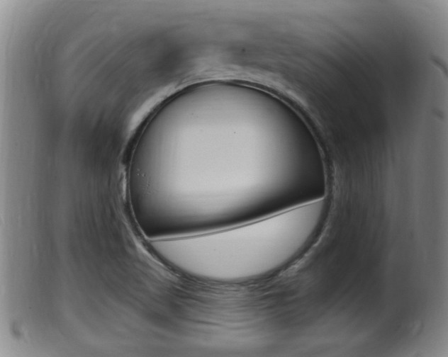 X0000099951509200805230949