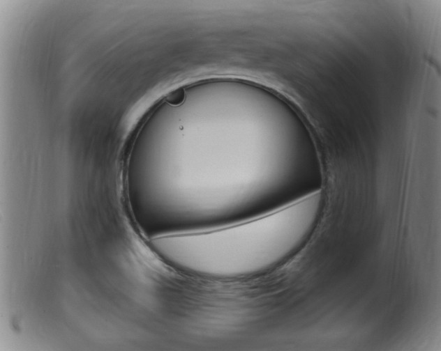 X0000099951511200805230949