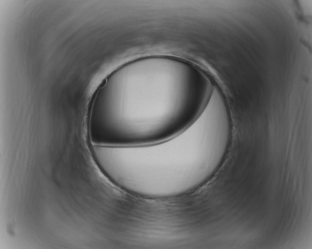 X0000099951512200805230949