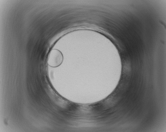 X0000099951514200805230949