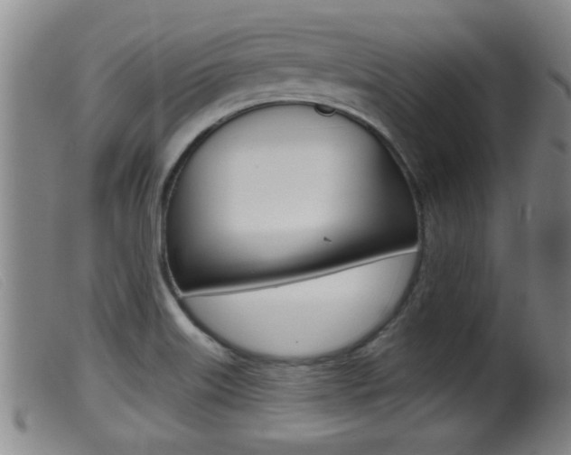 X0000099951515200805230949