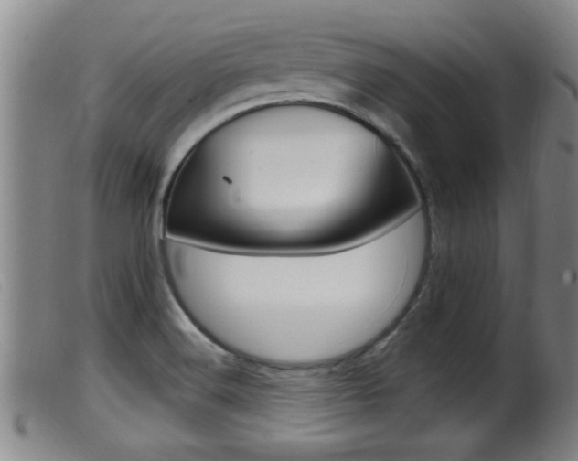 X0000099951516200805230949