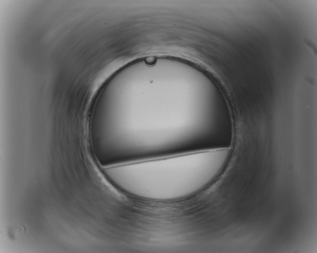 X0000099951517200805230949