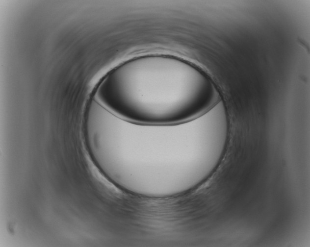 X0000099951518200805230949